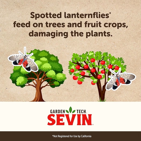 Sevin Insect Killer Spray - Picture 6 of 14